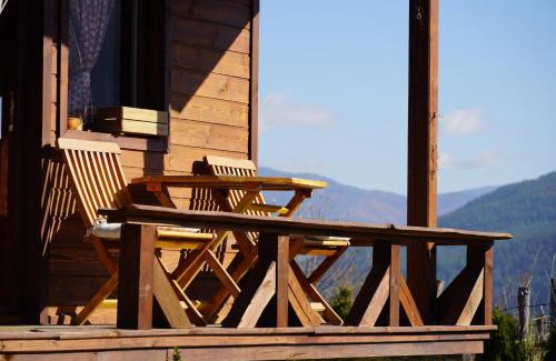 Dobrinishte Hotel | Hotel Orbel