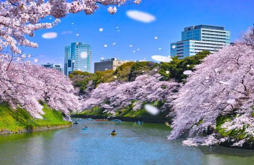 Shinbashi Hotel | Hotel Owl Tokyo Shinbashi