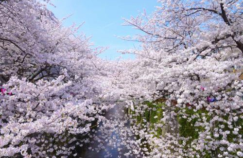 Shinbashi Hotel | Hotel Owl Tokyo Shinbashi