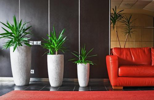 Mazeikiai Hotel | Hotel Palma