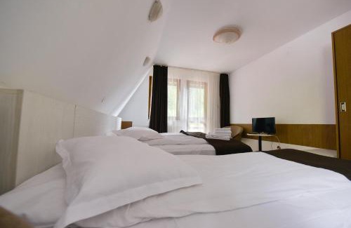 Capatanenii Pamanteni Hotel | Hotel Paraul Capra