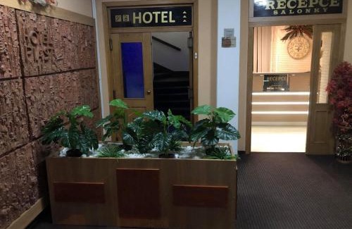 Cesky Tesin Hotel | Hotel Piast