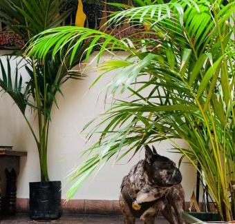 Tunja Bed & Breakfast | Hotel Posada de San Agustin