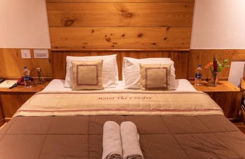 Old Manali Hotel | Hotel Premium Conifer Manali Near Hadimba Devi Temple - BEST HOTEL IN MANALI