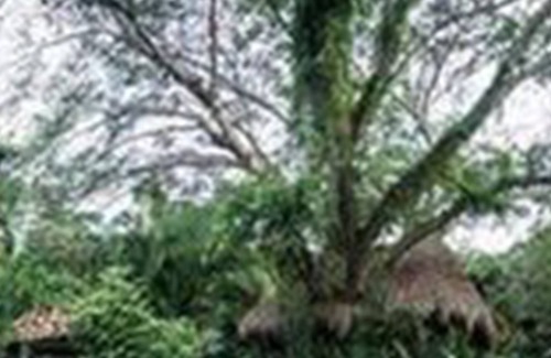 Jalcomulco Hotel | Hotel Quinto Sol