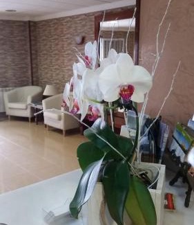 Sanxenxo Hotel | Hotel Rias Baixas