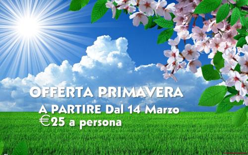 Gatteo a Mare Hotel | Hotel Riposo