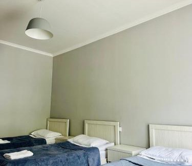 Bagvdanari Hotel | Hotel Ritur Mestia
