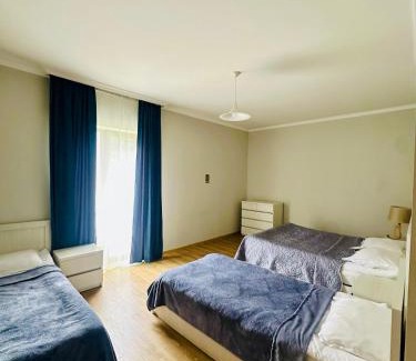 Bagvdanari Hotel | Hotel Ritur Mestia