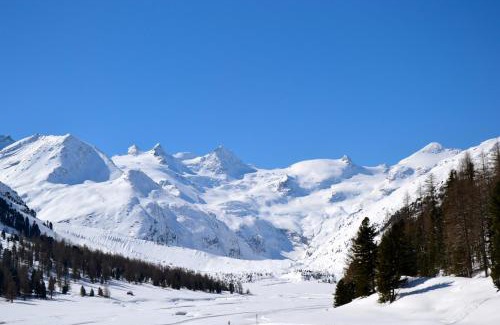 Samedan Hotel | Hotel Roseg-Gletscher