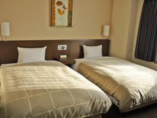 Hikone Hotel | Hotel Route-Inn Hikone