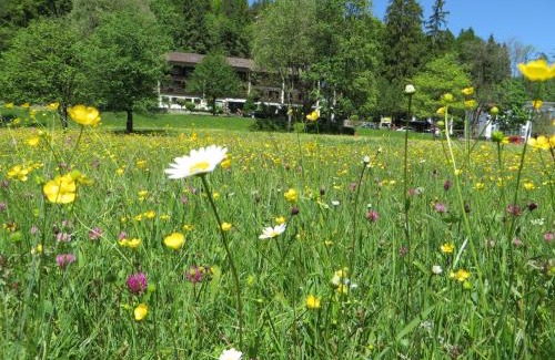 Bad Faulenbach Hotel | Hotel Ruchti - Zeit für mich