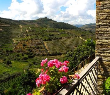 Vale de Mendiz Hotel | Hotel Rural da Quinta do Silval