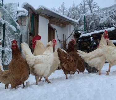 Dobres House | Hotel Rural El Sestil