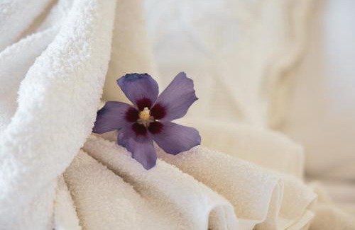 Vimioso Hotel | Hotel Rural Sra De Pereiras