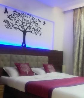 Vashi Hotel | Hotel Shelter Palace
