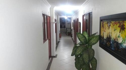 Piedecuesta Hotel | Hotel sol y Luna