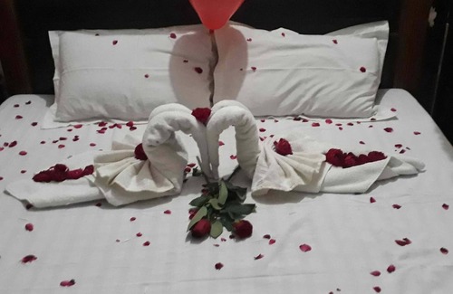 Chomu Hotel | Hotel Surya Palace