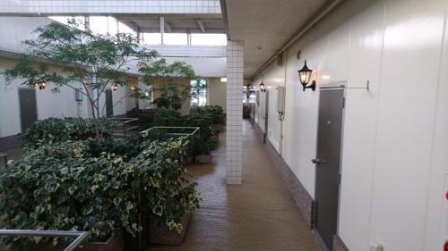 Matsushige Hotel | Hotel Taiheiyo