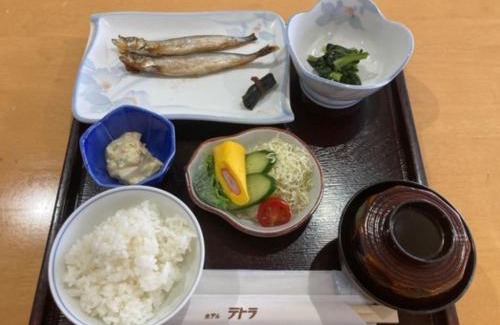 Hakodate Hotel | Hotel Tetora Yunokawaonsen - Vacation STAY 30730v