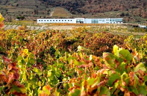 Cebreros Hotel | Hotel TIERRAS DE CEBREROS