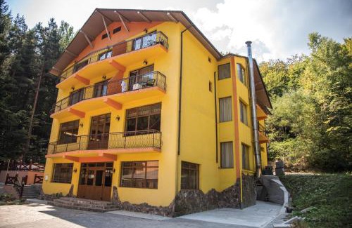 Baile Olanesti Hotel | Hotel Trei Brazi