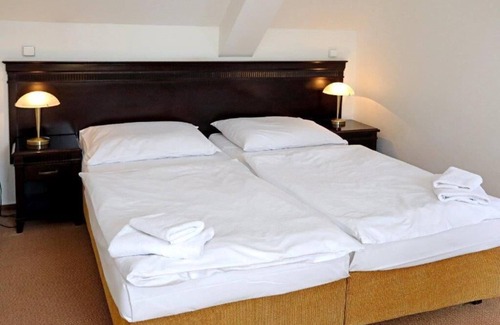 Nepomuk Hotel | Hotel U Zeleného stromu