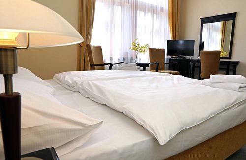 Nepomuk Hotel | Hotel U Zeleného stromu