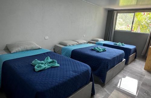 Rivas Hotel | Hotel Uran