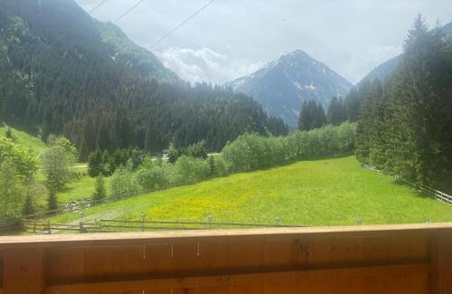 Neustift Im Stubaital Hotel | Hotel Waldcafe