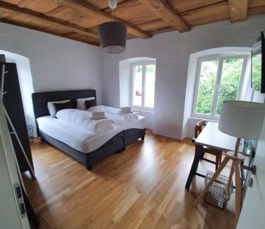 Villigen House | Hotel zum Hirschen