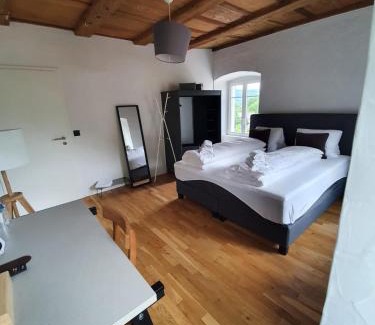 Villigen House | Hotel zum Hirschen