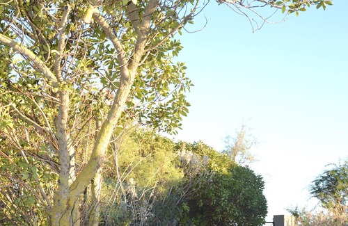 Chia House | HOUSE BY THE SEA - CHIA TOWER