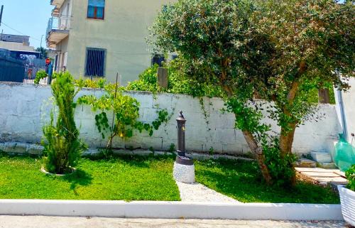 Boscoreale House | House Catello 39