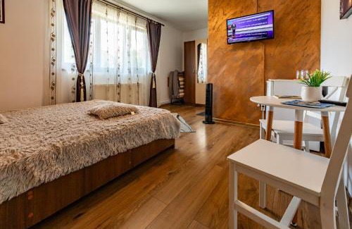 Turda House | House Garden