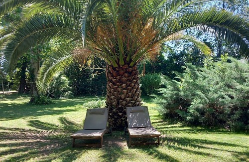 Narbonne House | House in Domaine with heated swimming pool 5 minutes from NARBONNE town center