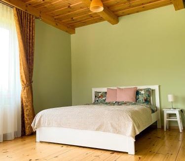 Druskininkai Apartment | House in Druskininkai Oldtown