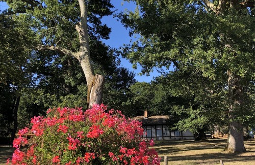 Pontenx-les-Forges House | house in the heart of the Landes forest