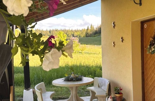 Longchaumois House | House in the heart of the Haut-Jura