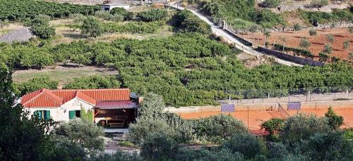 Dol House | House Irena
