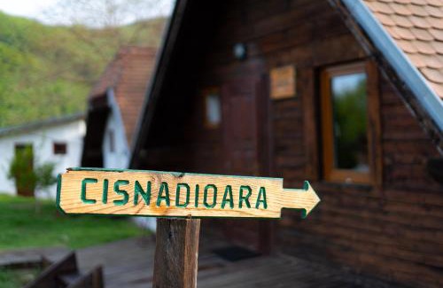 Cisnadioara House | House Jakob Camping Ananas Cisnadioara
