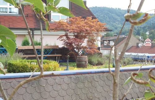 Baden-Baden Apartment | House Monte Rosa * Klaus Herold - House Monte Rosa