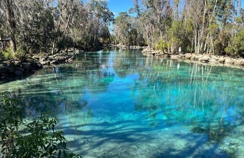 Crystal River House | House of Manatees-Entire house with yard, fire pit, dog friendly