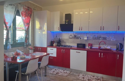Vanatori Villa | House of Roses An Oasis of Charm in Galati