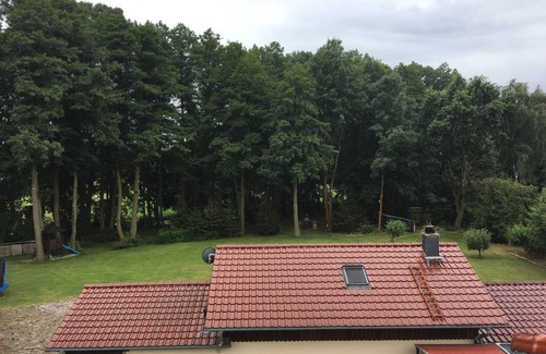 Schwielochsee Apartment | House on the Mühlenfließ for up to 6 people with outdoor sauna and lots of nature