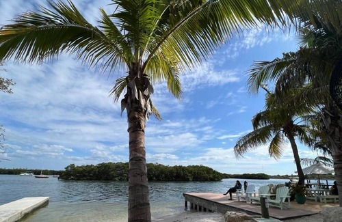 St. Petersburg - Clearwater House | House ~ Private pool! Pet friendly - Large backyard ~ 5 min from Gandy beach!