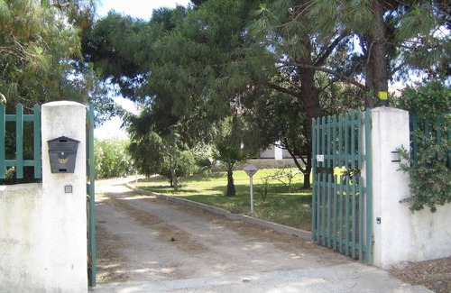 Pula House | House under the olive trees