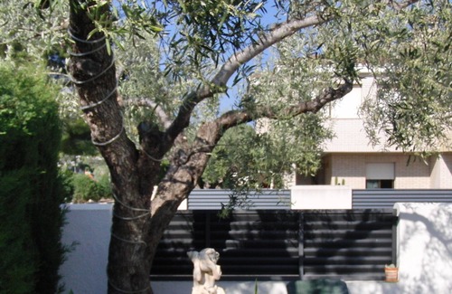 Cap Roig Villa | House / Villa - L´ampollaLuxury ApartmentHouse with garden
