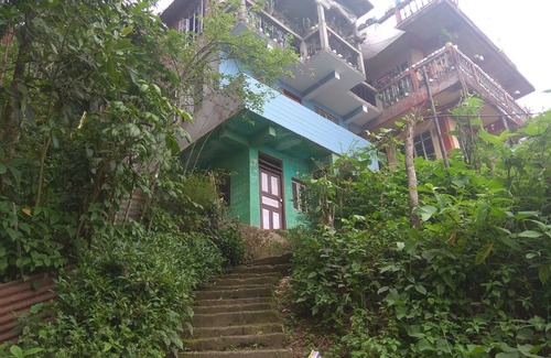 Tukdah Forest House | House with homestay . world famous Flowers nursery and pine trees jungle