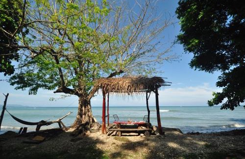 Cabuya Hotel | Howler Monkey Hotel